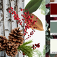 Sold Out. Holiday Wreath Workshop: Woolly Bear Taphouse, Viroqua: November 20, 6-8pm