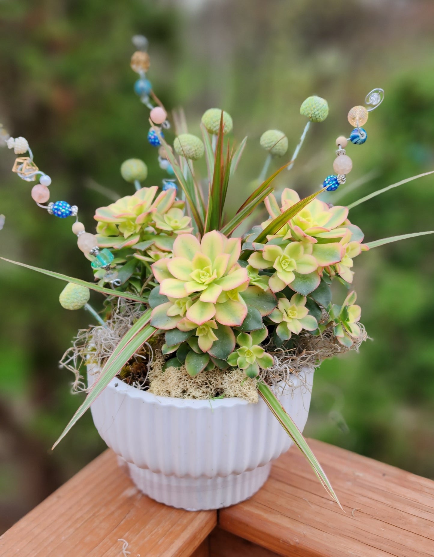 A fresh plant arrangement in a decorative white planter, suitable as a sympathy gift or just because.
