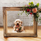 Pet Adornments
