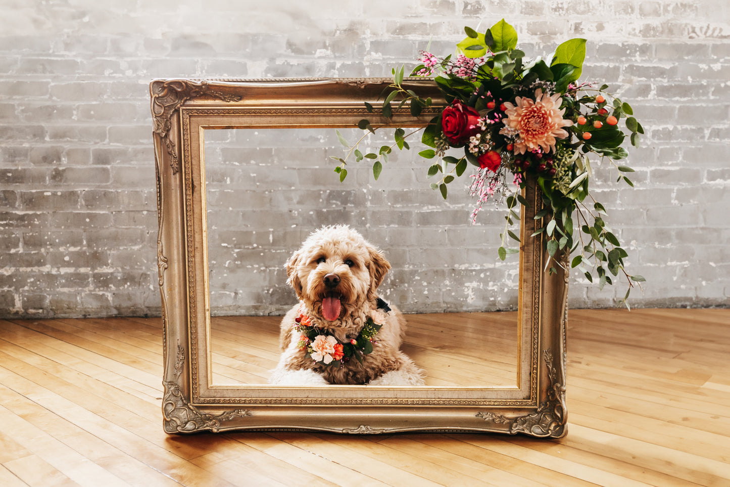 Pet Adornments